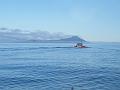 Bering Strait Crossing 186